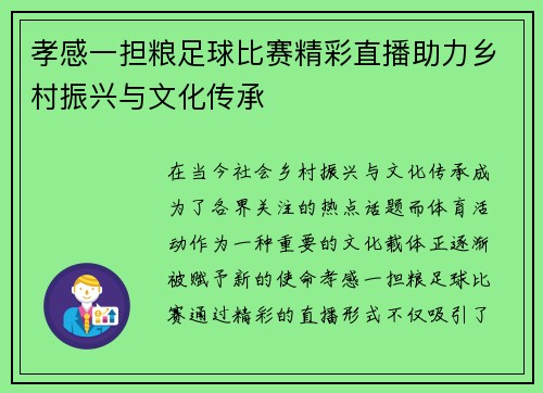 孝感一担粮足球比赛精彩直播助力乡村振兴与文化传承
